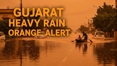 Heavy Rains in Gujarat: IMD Issues Orange Alert