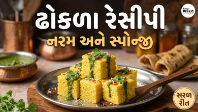 dhokla-recipe-gujarati